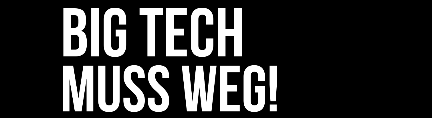 «Uns bleiben noch maximal vier Jahre, die Demokratie in Europa zu retten»